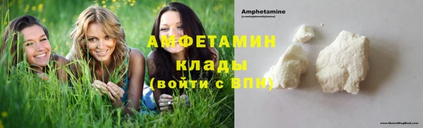 прущие грибы Горнозаводск
