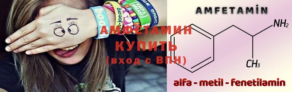 прущие грибы Горнозаводск