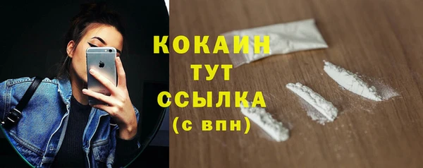 прущие грибы Горнозаводск
