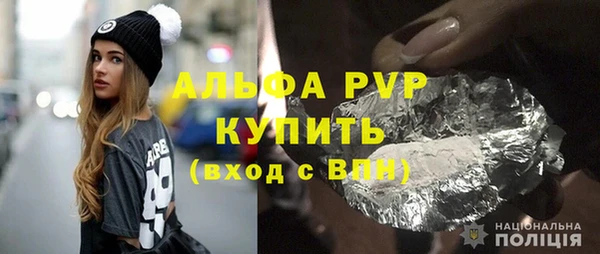 прущие грибы Горнозаводск