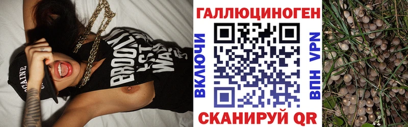 Купить где  Полесск  Галлюциногенные грибы MAGIC MUSHROOMS 